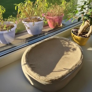 Puede incluir: Rascador para gatos de forma ovalada con superficie para rascar beige y texturizada. El rascador está sobre una base redondeada de color claro. La imagen está tomada con luz natural, con plantas en macetas en el fondo.