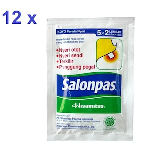 May include: A pack of Salonpas pain relief patches. The white packet features blue and green text, with the brand name prominently displayed. The package includes text in Indonesian, and the dimensions are 6.5cm x 4.2cm.
