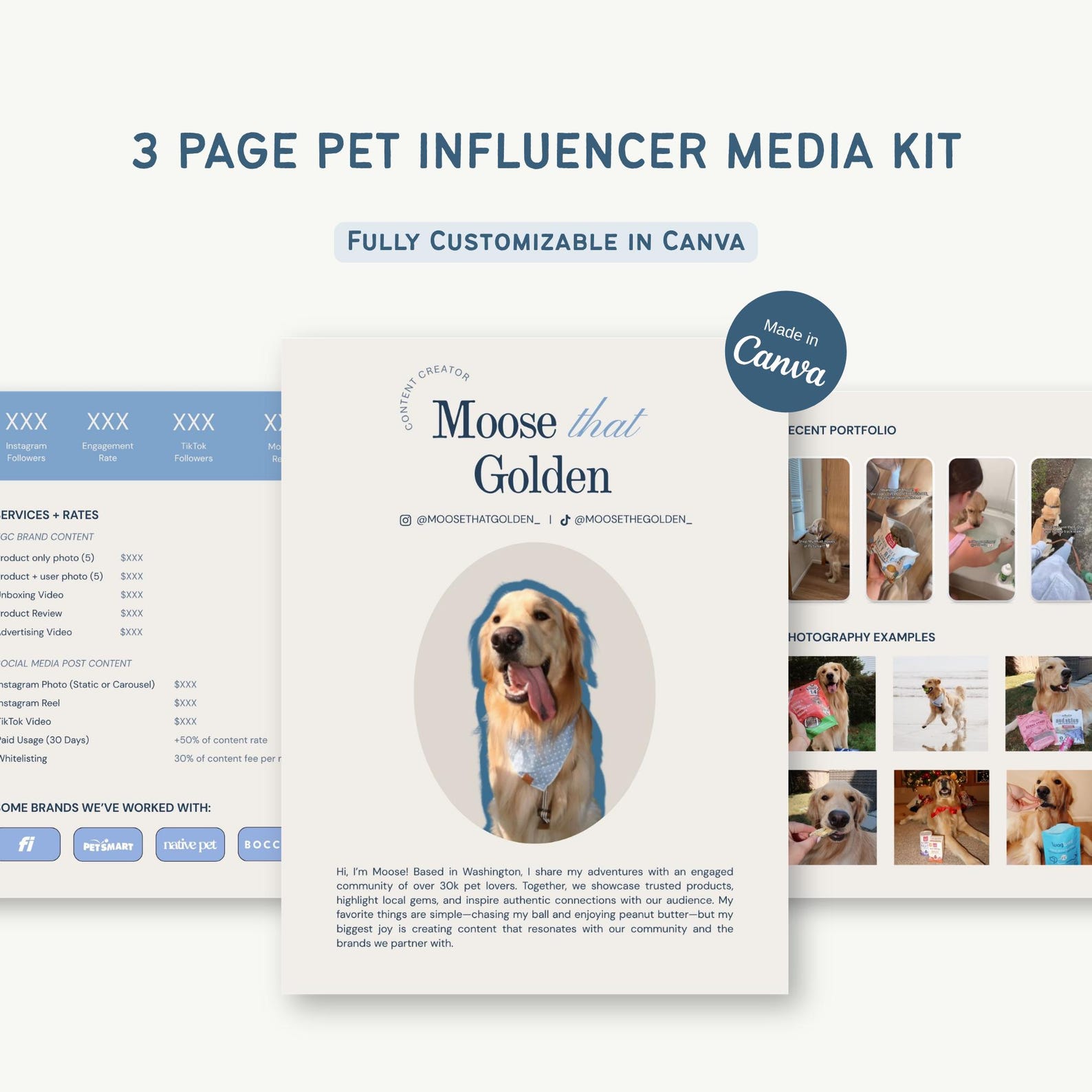 Influencer Roster Sheet 3-page Customizable UGC & Influencer Media Kit – PDF Template ...