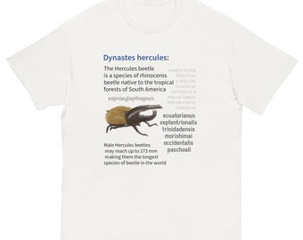 Nummer 1 Hercules Fächer