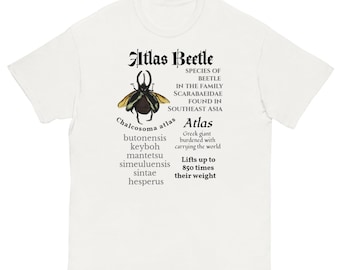 Nummer 1 Atlaskäfer Fächer