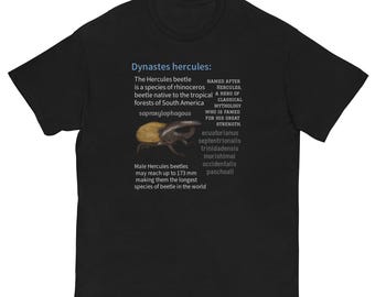 Nummer 1 Hercules Fächer DARK MODE