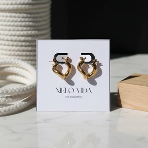A pair of gold-colored, twisted, hinged hoop earrings are displayed on a white card that reads "XIELO VIDA 316L Surgical Steel" against a dark background with white rope.