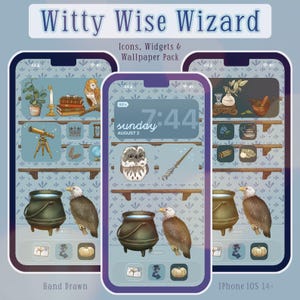 May include: A digital icon, widget, and wallpaper pack titled Witty Wise Wizard for iPhone iOS 14. The design features hand-drawn illustrations of owls, eagles, cauldrons, telescopes, and books set against a light blue patterned background.