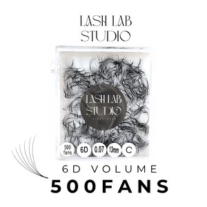 6D Premade Loose Fans 0.07 | C.CC.D Curl | 0.07 Sharp Base Pointy Stem Lashes | Handmade Lash Extensions| Single Length from 8mm to 16mm