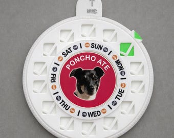 Custom Pet Feeding Tracker: Photo, Name, Twice-Daily Reminder Dial