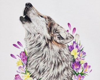 Botanical Wolf PRINTS, "Confident" - Original Colored Pencil Drawing