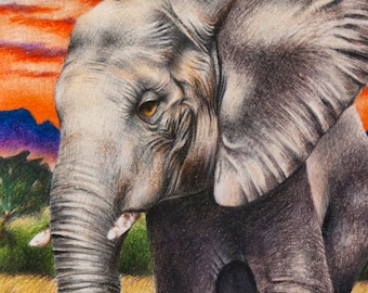 Original Mixed Media Colored Pencil Drawing - African Elephant 11x14"