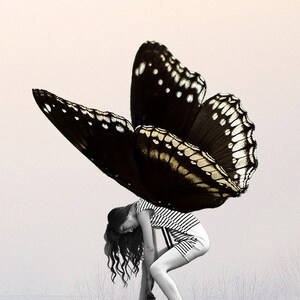 Collage Art Digital Art Surreal Art Digital Collage Butterfly Art Home Decor The Butterfly Effect