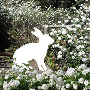 Hareless Collage Art Digital Art Collage Artwork Rabbit Hare Surreal Art Digital Collage Photo Art Home Decor