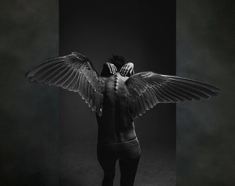 Pretty Bird Collage Art Digital Art Surreal Art Digital Collage Home Decor Dark Art Wings