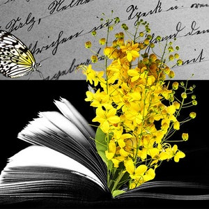 Turn the Page Book Butterfly Reading Collage Art Print Digital Art Collage Artwork Digital Collage Art Home Decor