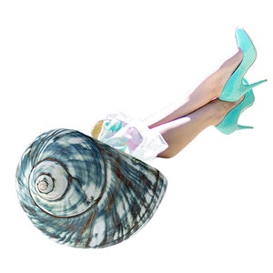 She Shell Collage Artwork Digital Art Collage Art Shell Woman Surreal Digital Collage Home Decor for She Shed