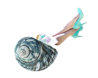 She Shell Collage Artwork Digital Art Collage Art Shell Woman Surreal Digital Collage Home Decor for She Shed