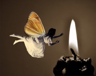 Collage Art Digital Art Surreal Art Digital Collage Butterfly Art Home Decor Moth Flame