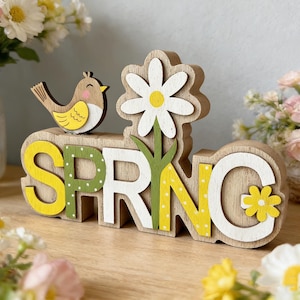 Puede incluir: Decoración de primavera de madera con la palabra "SPRING" en letras amarillas y blancas con lunares verdes. Un pequeño pájaro y una margarita están unidos al letrero de madera, creando una alegre estética primaveral.