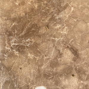 Brownish Quartzite raw Slab Display Centerpiece