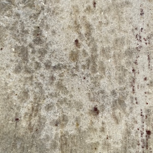 May include: A close-up of a textured, light gray surface with brown and rust-colored stains.