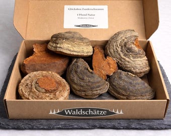 Zunderschwamm ganz | Natur Geschenk Set | Glücksbox | Tinder Fungus | Bushcraft