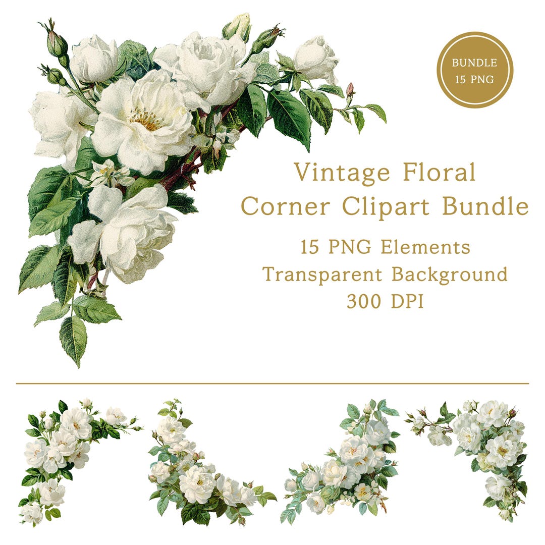 White Roses Corner Real White Rose Floral Corner PNG Bundle Elegant Botanical Floral Clipart - Etsy