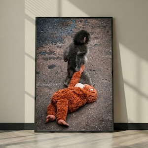 Poster virale con scimmia che colpisce il pugno / Simpatico macaco che trascina un peluche / Stampa di animali dello zoo giapponese, poster "I rotti sono i più evoluti"