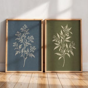 May include: Two framed wall art prints in light wood frames. The left print features a white botanical illustration of a flowering plant on a dark blue background. The right print displays a white olive branch illustration on a dark olive green background.