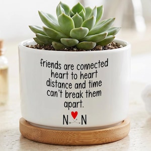 May include: A white ceramic cylindrical planter containing a green succulent plant. The planter features black text that reads: friends are connected heart to heart distance and time can't break them apart, with a red heart and the letters N and N.