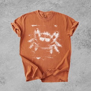 Puede incluir: Una camiseta de manga corta color naranja quemado con un estampado gr&aacute;fico blanco de estilo desgastado de una ara&ntilde;a saltarina peluda en el centro. La prenda tiene cuello redondo y un corte relajado, mostrando detalles de pelos finos.