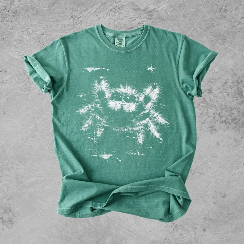 Puede incluir: Una camiseta de manga corta y cuello redondo en color verde espuma de mar apagado. El centro de la prenda presenta una ilustraci&oacute;n gr&aacute;fica blanca con estilo desgastado de una ara&ntilde;a saltarina peluda con varios ojos.