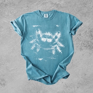 Puede incluir: Una camiseta de manga corta de color azul verdoso con un estampado gr&aacute;fico blanco de una ara&ntilde;a saltarina peluda en el centro. La prenda tiene cuello redondo y un aspecto desgastado y texturizado tanto en la tela como en la tinta blanca.