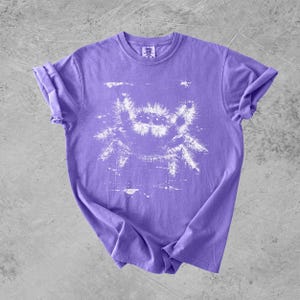 Puede incluir: Una camiseta morada de manga corta con un estampado gr&aacute;fico blanco de estilo desgastado de una ara&ntilde;a saltarina en la parte delantera. La prenda tiene cuello redondo y una etiqueta en el interior del cuello que dice Comfort Colors.