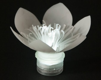 LED Kunststoff Flasche Blumen