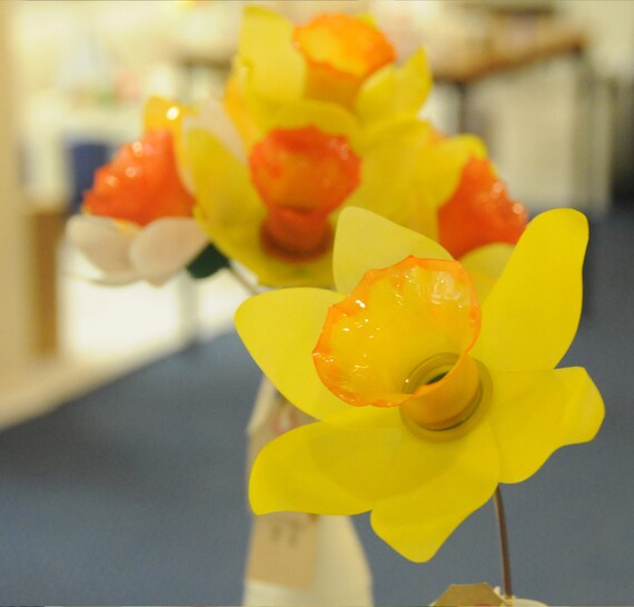 Plastic Bottle Daffodils A Perfect Upcycled Gift for Etsy
