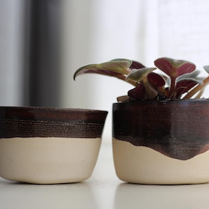 May include: Two ceramic planters, one empty and one with a small plant. The planters are a combination of cream and dark brown. The plant has green and burgundy leaves. The planters are on a white surface.