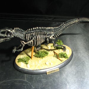 大型スピノサウルスの頭蓋骨レプリカ：手作りの化石スキャン、硬材