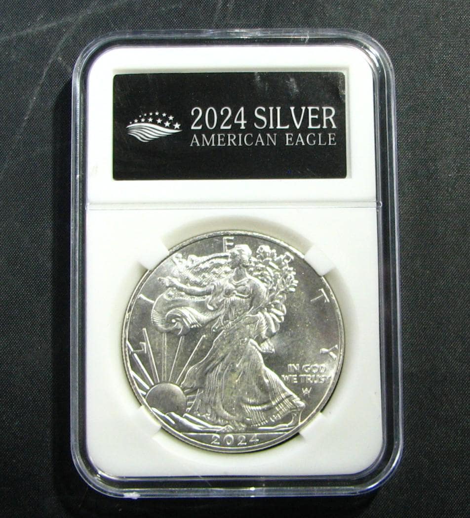 American silver eagles coins - Etsy 日本