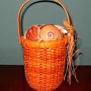 NANTUCKET  BASKET w/Sea Shells- Zig Zag Lacing