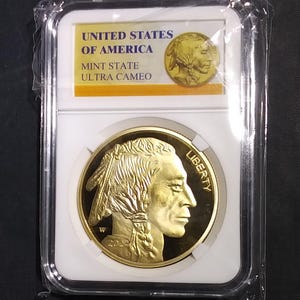 Cameo Proof American 50 Dollar .999 Gold Plated Coin 2024 Buffalo Tribute Replica in Slabbed Case