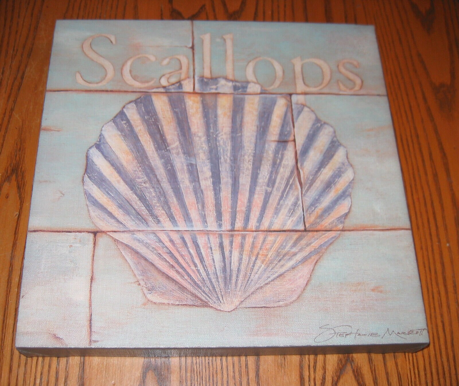 Stretch Canvas of a SCALLOP- Great Nautical Art by STEPHANIE MARROTT