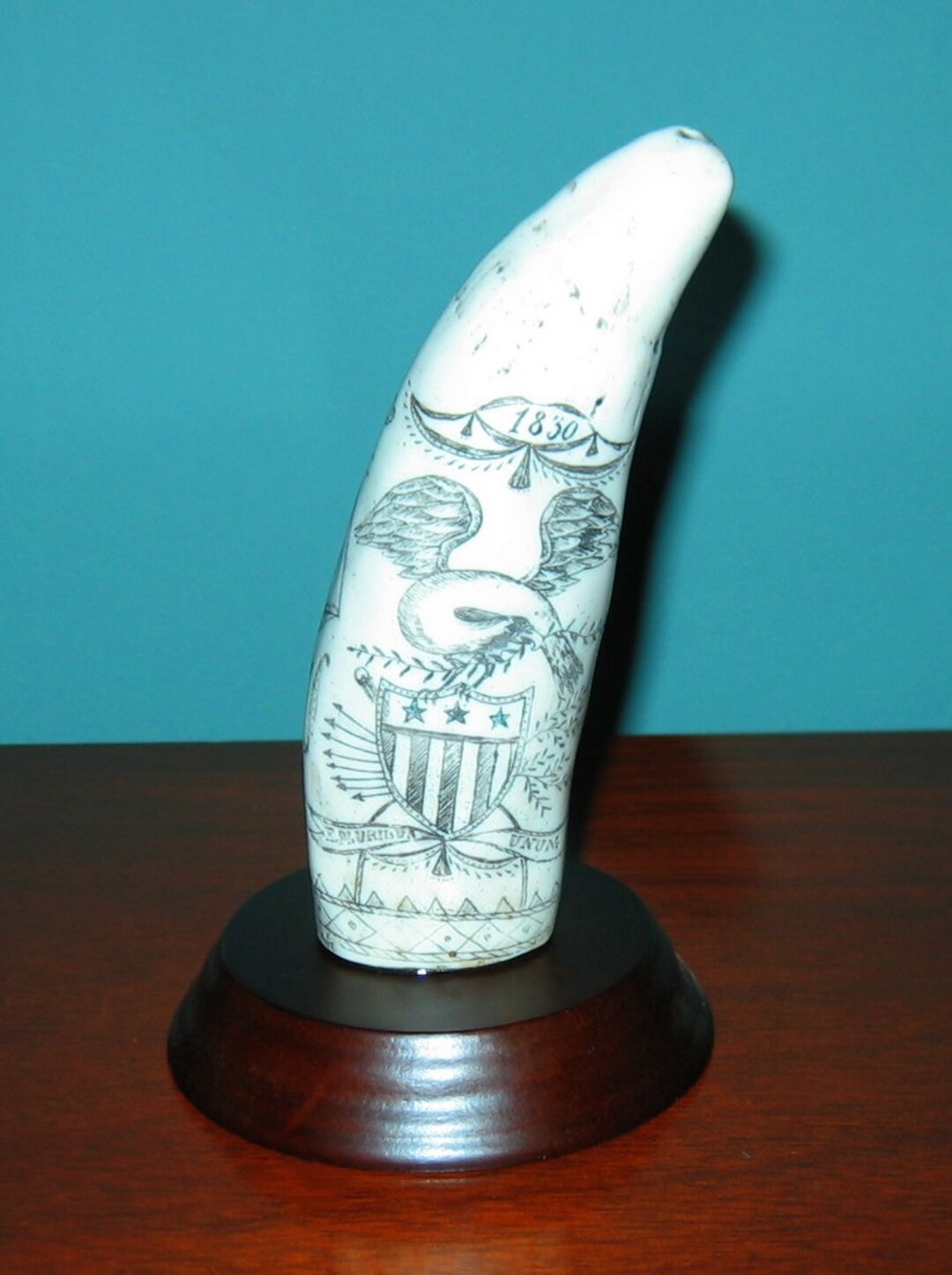 東*研様 希少マッコウクジラの歯置物