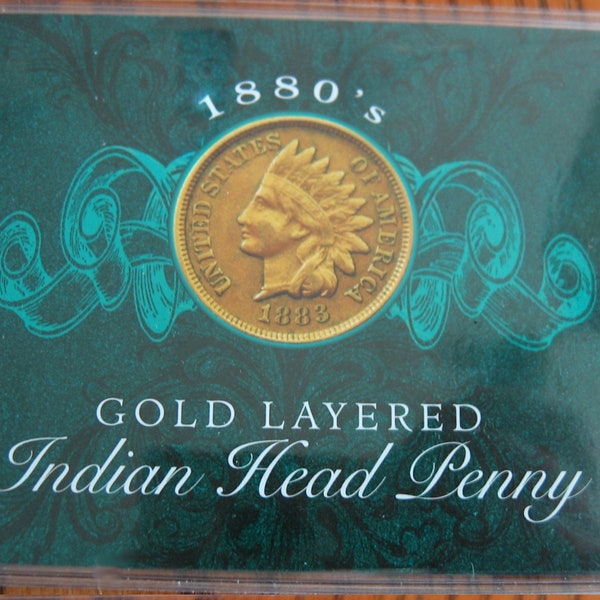 Indian Head Penny Display Etsy
