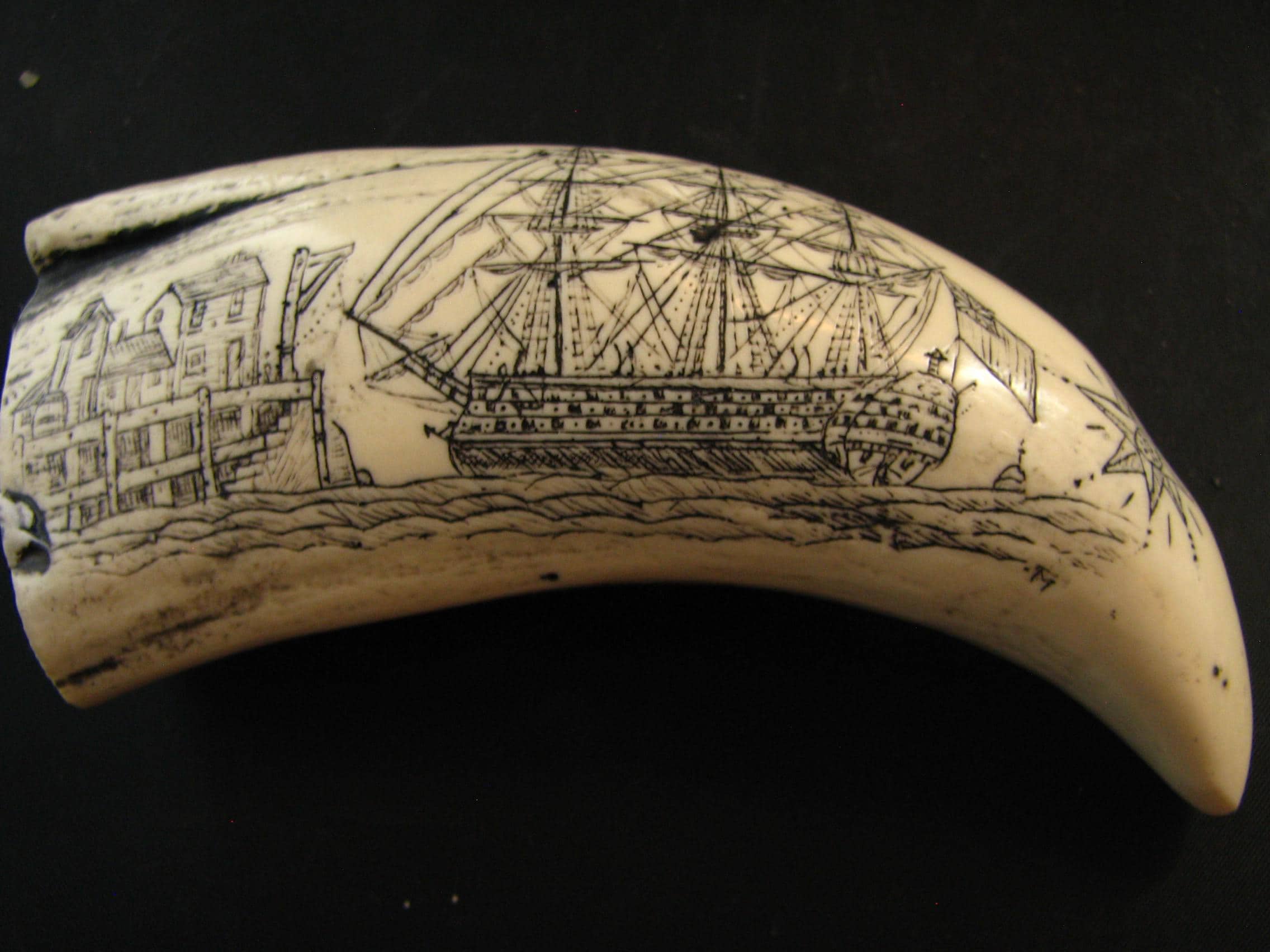 Scrimshaw whale - Etsy 日本
