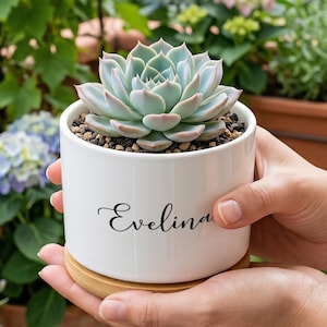 Personalized Name Ceramic Succulent Pot, Cursive Script Mini Planter, Bamboo Tray Included, Unique Best Friend Birthday Gift