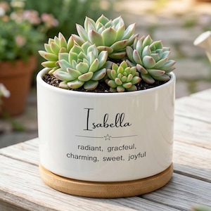 Maceta personalizada con suculentas y nombre de niña, mini maceta con significado personalizado, bandeja de bambú incluida, dulce regalo para baby shower.