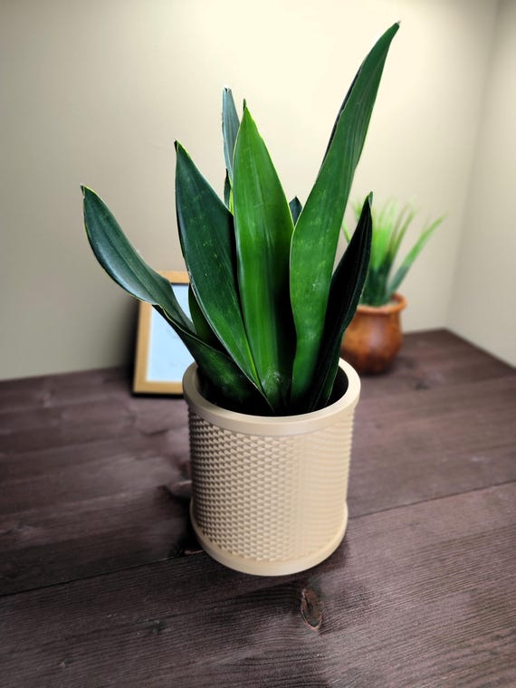 Rattan Retro Planter | Mid Century Plant Pot | Vintage Style Indoor Planter