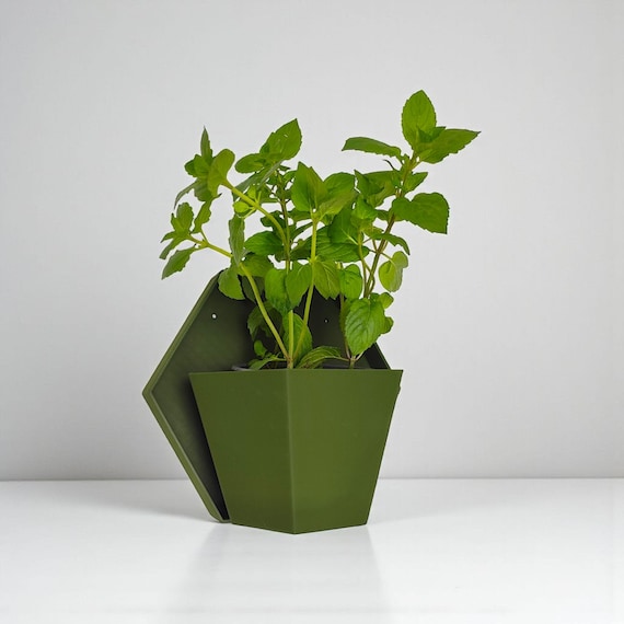 Geometric Wall Planter | Indoor Herb Garden | Modern Wall-Mounted Plant Pot | Minimalist Home Decor