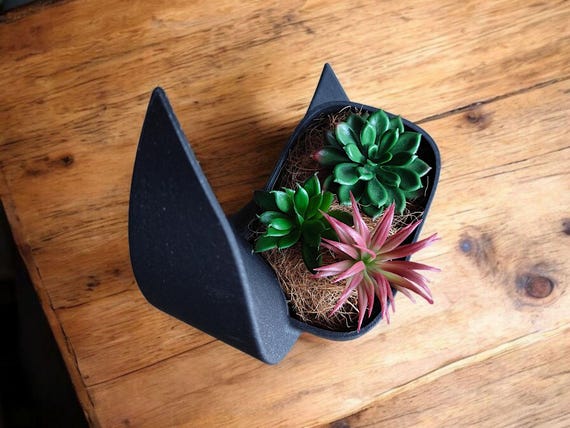 Moonlit Reverie Planter | Modern Celestial Indoor Plant Pot | Succulent & Desk Decor
