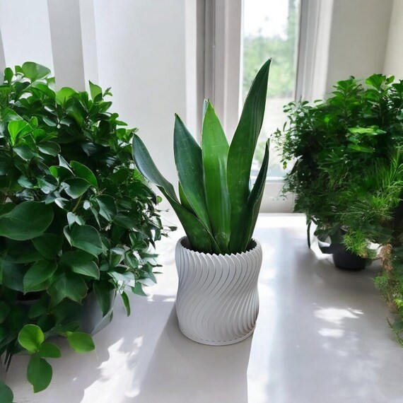 Turbines to Terracotta Planter | Modern Industrial Indoor Plant Pot | Succulent & Desk Decor