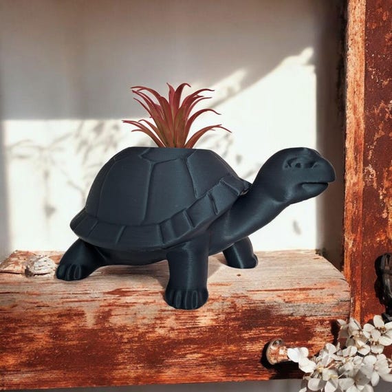 Little Turtle Plantpot | Cute Animal Planter | Succulent and Indoor Plant Decor | Desk & Shelf Accent