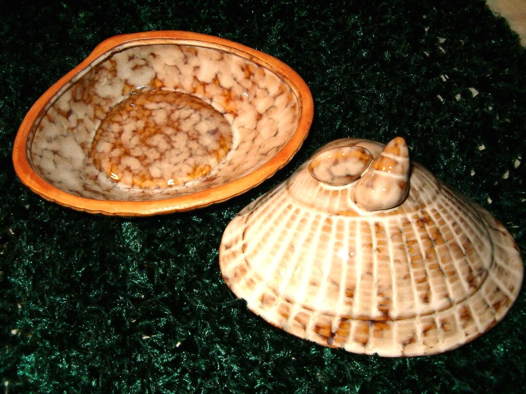 Covered Shell Designed Dish, Home Decor, Home Living, Covered Bowl ...